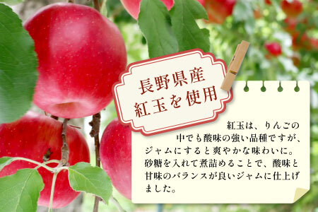 国産紅玉使用！ りんごジャム 3個 180g×3個 果物 フルーツ ジャム りんご 紅玉 リンゴ アップル 東白川村 岐阜 国産 つちのこの村 5500円