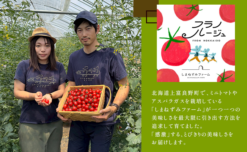 訳あり 北海道 完熟 新鮮 ミニトマト フラノルージュ 1kg 上富良野 自宅用 野菜 産地直送