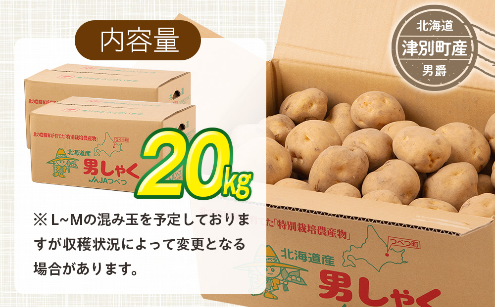 R7年産先行受付 じゃがいも 20kg 特別栽培（男爵） | ジャガイモ 芋 男爵 馬鈴薯 大容量 新鮮 野菜 煮物 カレー シチュー ポテト 保存 特産 産地直送 北海道 津別町 送料無料 20kg