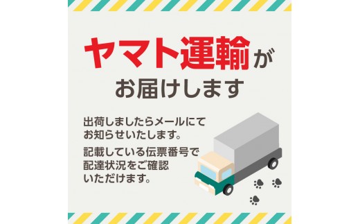 【クリスマスアイスケーキ】湘南ゴールドとチーズアイスケーキ5号 新宿区 クリスマス ケーキ チーズケーキ チーズ アイスケーキ 華やか 贅沢 柑橘 ご褒美 アイス 冷凍 誕生日 記念日  0105-0