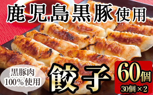 A-109 鹿児島黒豚餃子60個(30個×2)【九面屋】