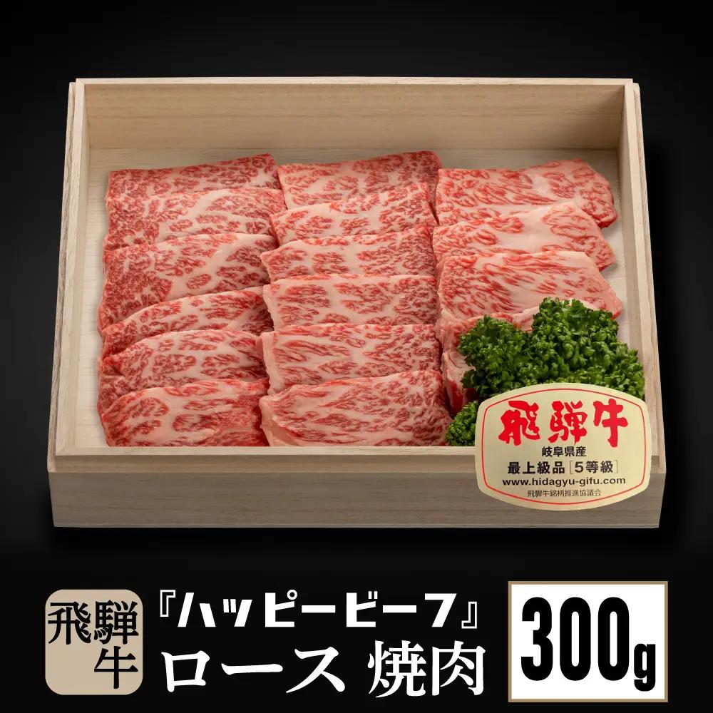 飛騨牛 焼肉 A5等級 ロース 300g  焼肉 JQ008-CP01　FN-Limited-PR