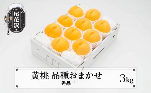 先行予約 もも 有袋黄桃 秀品 品種おまかせ 3kg  化粧箱入 フルーツ 果物 2025年産 令和7年産 山形県産 ns-mootx3