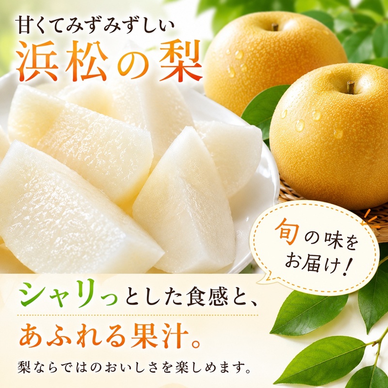浜松市産 梨 約2.5kg 5～8玉入り なし フルーツ 果物 静岡 浜