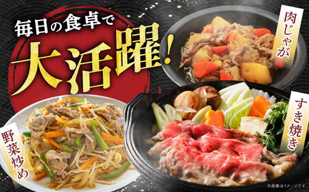 飛騨牛 切り落とし 700g 多治見市 / 養老ミート 冷凍 赤身 和牛 訳あり ギフト[THG001]