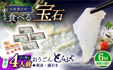 【全6回定期便】【着日指定 可能】活〆おうごんとらふぐ 刺身 セット（4人前） 平戸市 / 松永水産[KAB280]