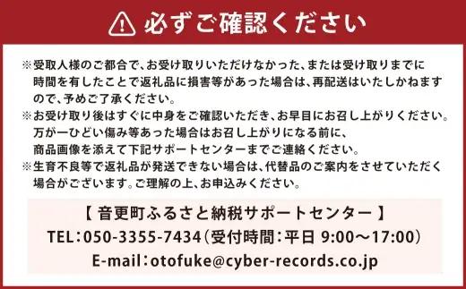 ［先行受付］訳あり おとふけ産マンゴー「白銀の太陽」1kg ( 3～4玉 ) 【 D65 】 《2026年11月上旬より発送開始予定》