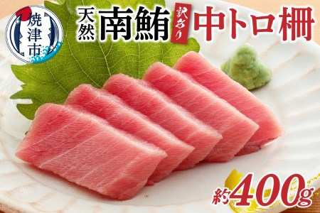 訳あり 天然 南鮪 中トロ 約400g 訳あり OR FN-SupportProject OR 増量 OR 年末企画 訳あり (a10-859)