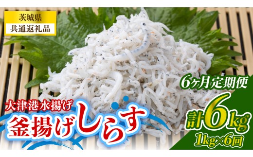 【6回 定期便】大津港水揚げの釜揚げしらす 1kg(250g×2パック×2箱) (茨城県共通返礼品:北茨城市)冷凍 小分け パック 少量 釜揚げ ごはん ご飯 丼 海鮮 魚 名物 グルメ 茨城県 魚介類 ちりめん シラス しらす じゃこ サラダ ふるさと納税 人気 料理（BC024）