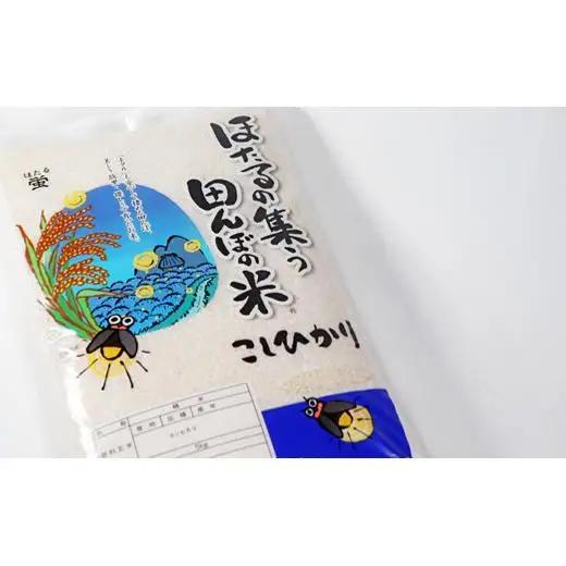 ≪令和8年産≫ ほたるの集う田んぼの米 こしひかり 6ヵ月定期便