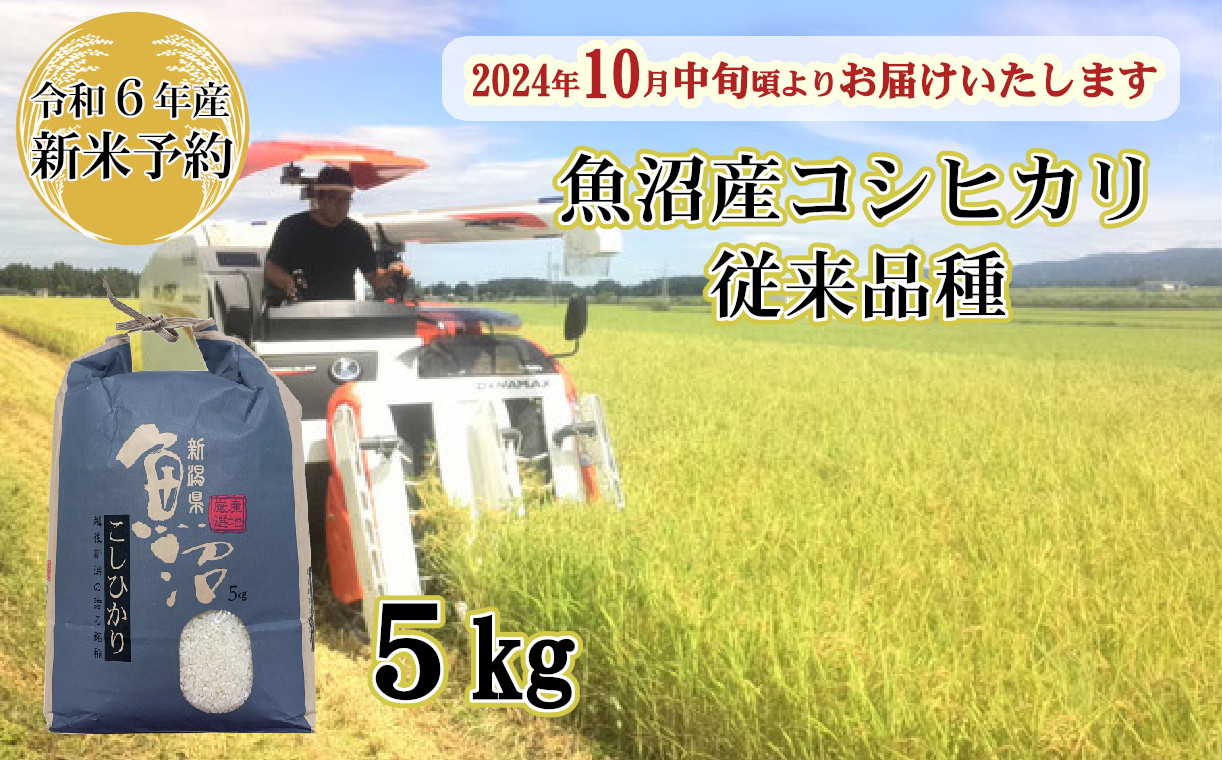 
N11P142 【令和6年産 新米予約】昔ながらの魚沼産コシヒカリ5kg 【従来品種】 農園ビギン 早期受付 2024年10月中旬から発送開始
