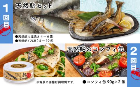 【4回定期便】鮎づくし！清流四万十川で育った天然鮎の定期便