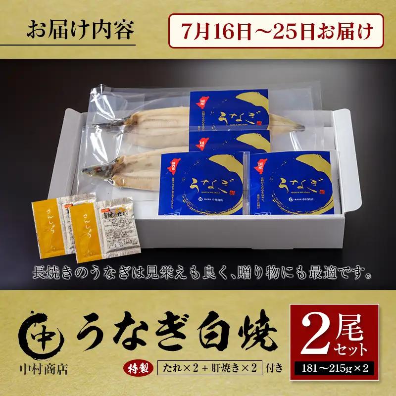 【土用の丑の日】うなぎ白焼2尾セット 計362g以上 肝焼き付 中村商店