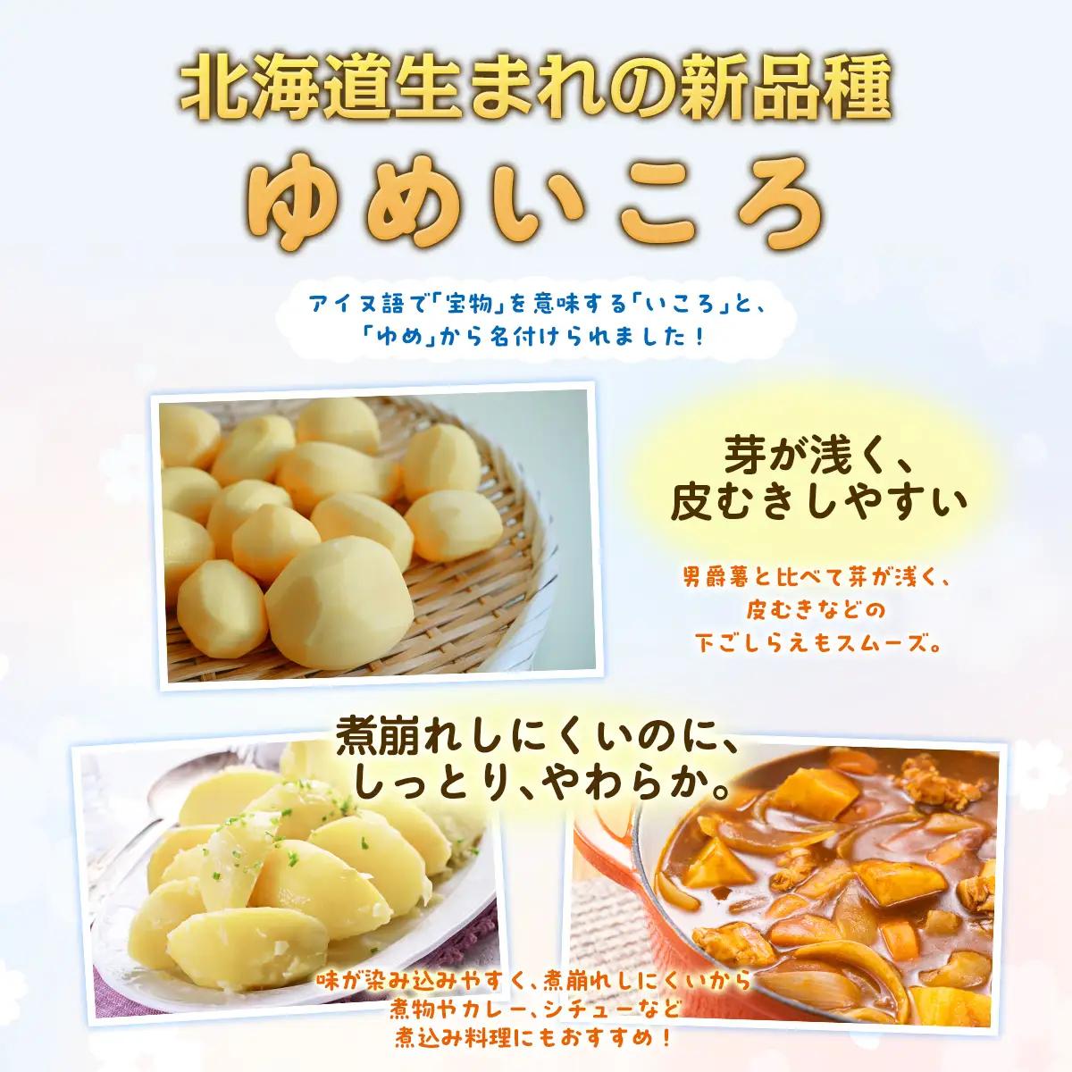 【先行予約】じゃがいも（ゆめいころ） LMサイズ 10kg 大空町産（2026年10月以降順次発送） OSR012 | じゃがいも ゆめいころ