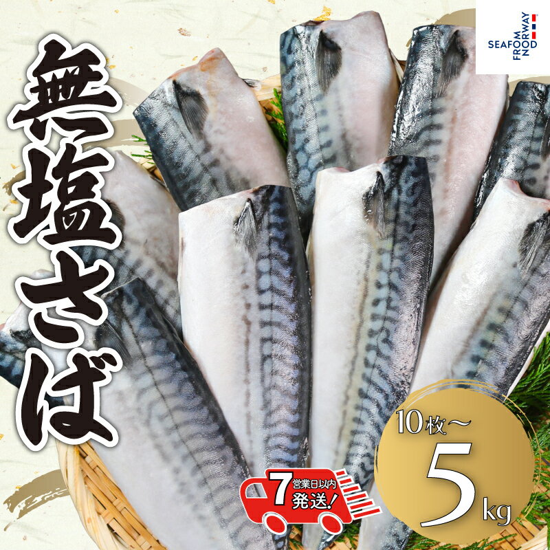 【ふるさと納税】 無塩さば 【 選べる 容量 】 10枚 〜 5kg 【 スピード配送 】 無塩 さばフィーレ 鯖フィーレ さばフィレ 鯖フィレ 切り身 切身 無添加 添加物不使用 お取り寄せ グルメ 大容量 人気 ふるさと納税 ふるさと納税さば 送料無料 千葉県 銚子市 エドノフーズ