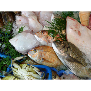 ［頒布会6回］瀬戸内海産の海産物の詰め合わせ（下処理アリ）