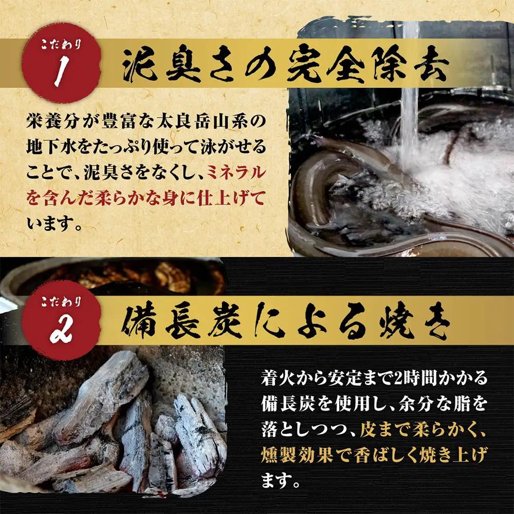 国産うなぎの蒲焼１尾入り 【180～200g】 大型サイズ 国産 鰻 ウナギ 蒲焼き タレ付き 密封パック入りうなぎ 佐賀県 鹿島市 冷蔵うなぎ　B-14