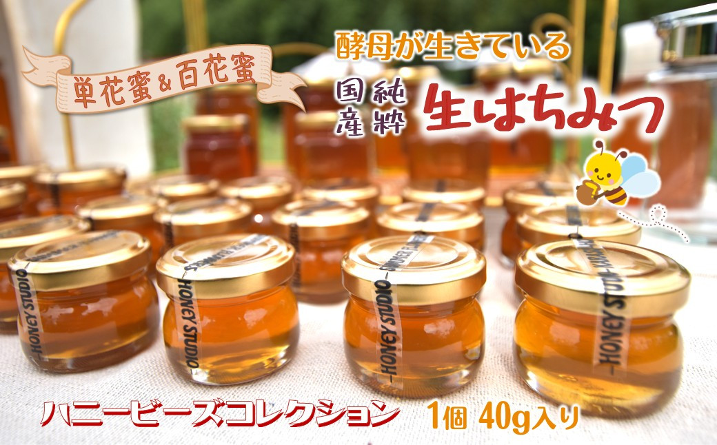 
            ハニービーズコレクション“しろいの季節”のはちみつ 40g 国産純粋生はちみつ お試しサイズ
          