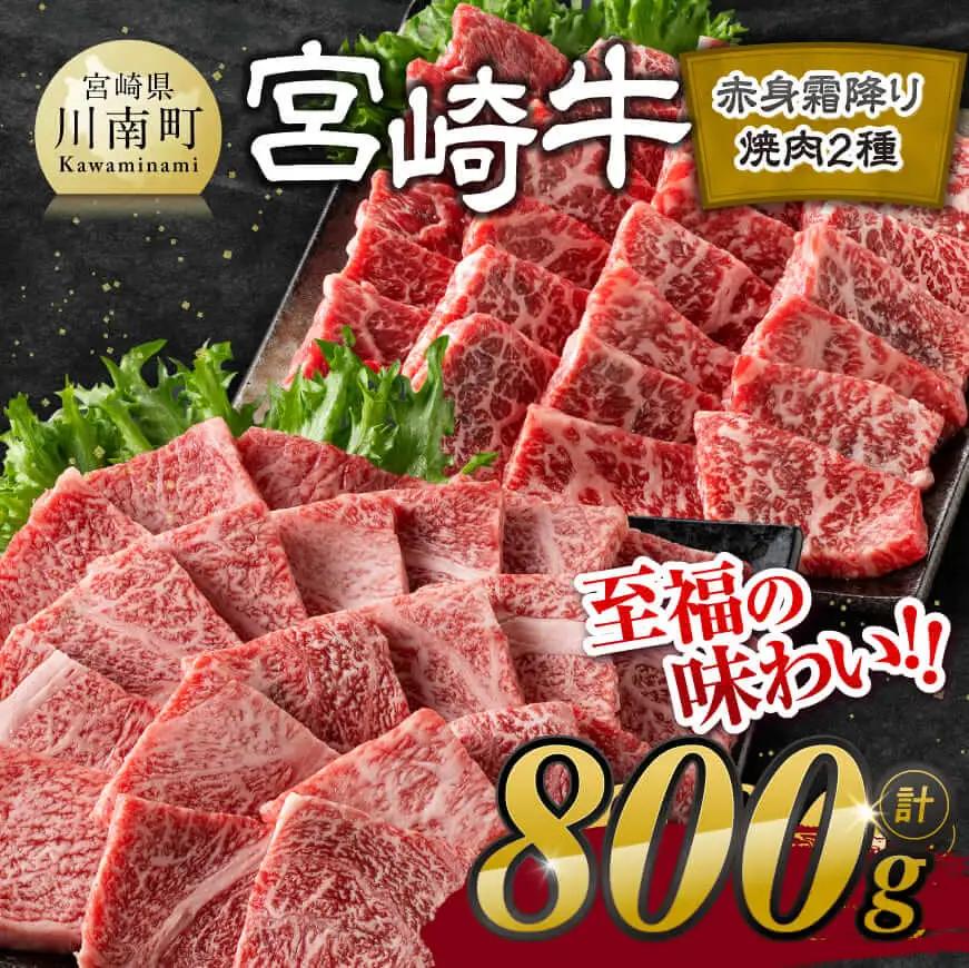 【令和8年9月発送】宮崎牛赤身霜降り焼肉2種 800g【肉 牛肉 国産 宮崎県産 宮崎牛 黒毛和牛 和牛 焼肉 BBQ 4等級  A4ランク 肩ロース ウデ モモ E11124】