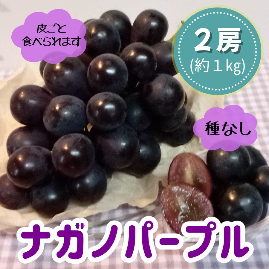【ふるさと納税】先行予約 ナガノパープル 2房 約1kg 黒ぶどう 葡萄 ブドウ ぶどう 送料無料 クール便 旬 フルーツ