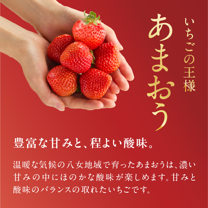 【2025年12月発送開始】博多あまおう350g（化粧箱）｜ＪＡふくおか八女 あまおう いちご 苺 イチゴ フルーツ 果物 くだもの 人気  旬 福岡県産 アフター補償 ギフト 化粧箱入り 贈答品 プ
