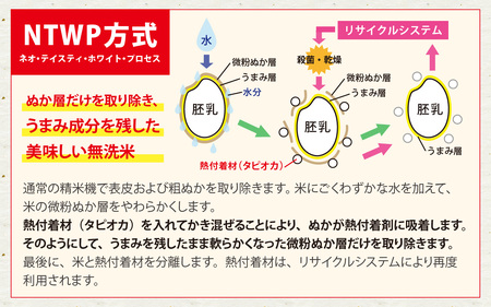 令和7年産【無洗米】特別栽培米 福井県産コシヒカリ 5kg [A-020031] / 無洗米