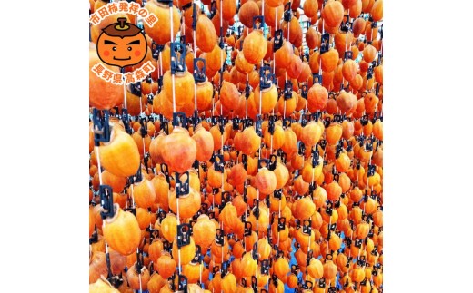 【令和8年発送】南信州高森町産 市田柿 200g×6パック
