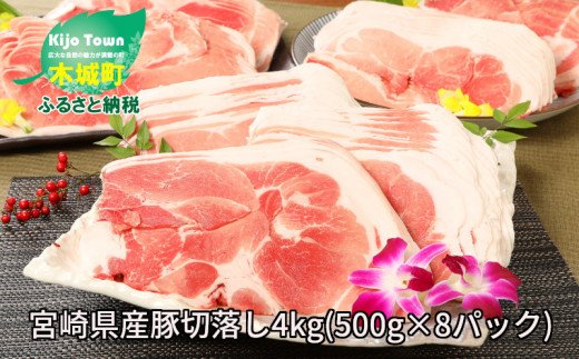 ★スピード発送!!７日～10日営業日以内に発送★ 【訳あり】宮崎県産豚切落し4kg(500g×8パック)  K16_0054_3 