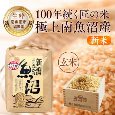 ふるさと納税 南魚沼市 【8年産新米予約】南魚沼産コシヒカリ(塩沢産)玄米5kg