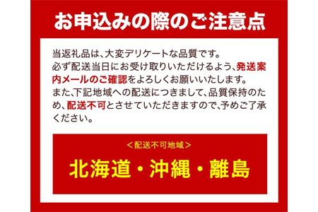 ぶどう [2024年先行予約] シャインマスカット 晴王 2房 1.4kg 岡山県産《9月上旬-11月中旬頃出荷(土日祝除く)》 ハレノフルーツ マスカット 送料無料 岡山県 浅口市 フルーツ 果物 贈り物 ギフト 国産 岡山県産 くだもの 青果物 【配送不可地域あり】---124_c416_9j11c_23_38000_1400g---