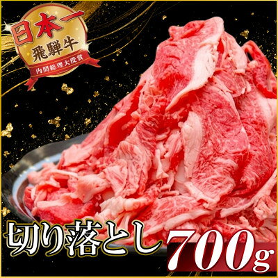 【ふるさと納税】飛騨牛 切り落とし700g【配送不可地域：離島】【1746362】
