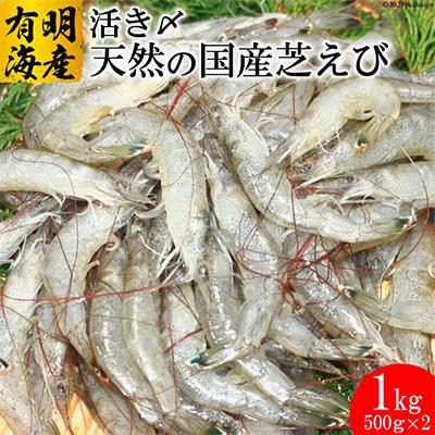 ふるさと納税 島原市 【有明海産】　活き〆　天然小エビ1kg　(500g×2)