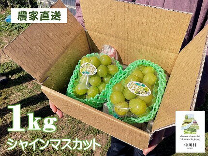 【ふるさと納税】宮下ぶどう園直送　シャインマスカット　約1Kg　【9月下旬〜発送予定】