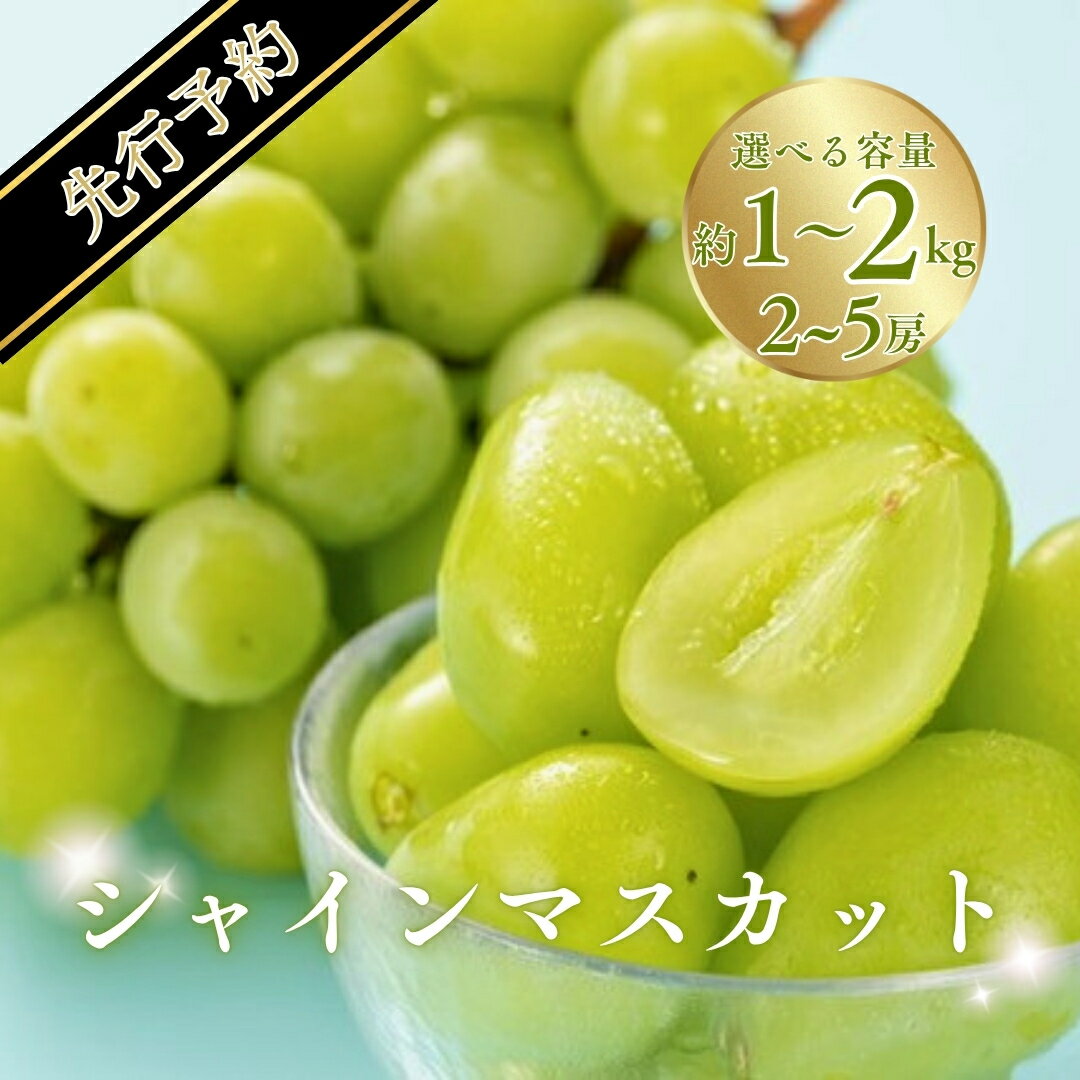 【ふるさと納税】【2025年先行予約】シャインマスカット 約1kg ( 2~3房 )/約2kg ( 3~5房 )｜ 果物 フルーツ 白ぶどう 葡萄 ブドウ 種無し 種なし 皮ごと 千曲市 長野県 信州
