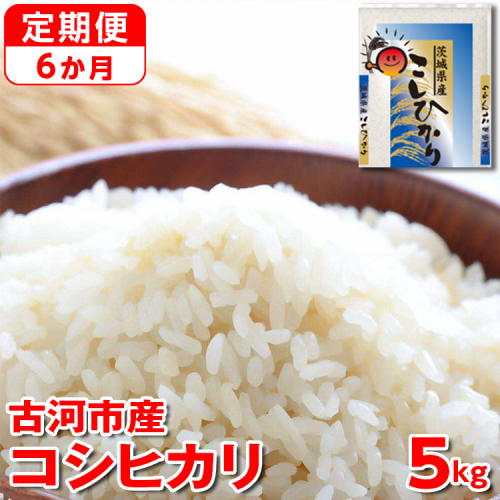 【新米】【定期便 6か月】令和6年産 古河市産コシヒカリ 5kg◇  ｜ 米 こめ コメ 5キロ 定期便 こしひかり コシヒカリ 古河市産 茨城県産 贈答 贈り物 プレゼント 茨城県 古河市 直送 産地直送 送料無料 _DP35