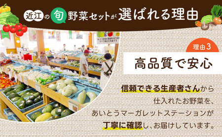 季節の旬野菜セット　A51　一般財団法人 愛の田園振興公社【野菜 詰め合わせセット 野菜セット 旬の野菜 野菜 詰め合わせセット 野菜セット 旬の野菜 野菜 詰め合わせセット 野菜セット 旬の野菜 野
