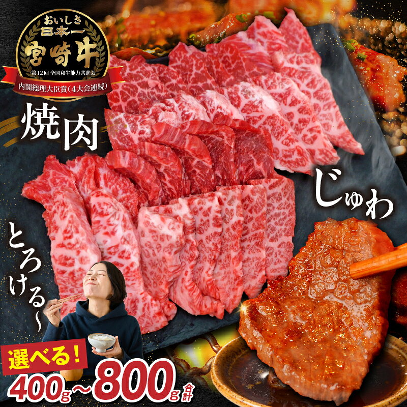 【ふるさと納税】【選べる内容量】【A4等級以上】宮崎牛焼肉400g～800g（内閣総理大臣賞 A4 A5 宮崎牛 牛肉 黒毛和牛 焼肉 赤身 霜降り モモ ロース 宮崎県）