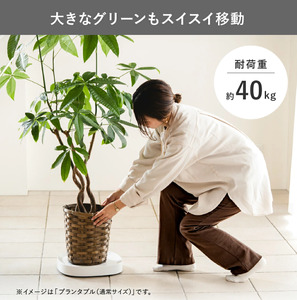 tidy ティディ Plantable L（キャスター付植木鉢トレイ）【ホワイト】015EB13N.／Lサイズ 台 観葉植物 トレイ プランター 受け皿 受皿 鉢皿 らくらく移動 可動式 軽量 ガーデ