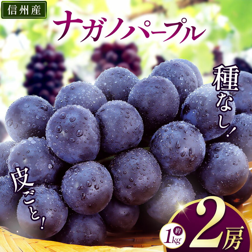 【ふるさと納税】【先行受付：2026年発送】ナガノパープル 2房（約1kg）｜ふるさと納税 ぶどう 葡萄 ナガノパープル 果物 フルーツ 新鮮 信州産 先行予約 長野県 松本市