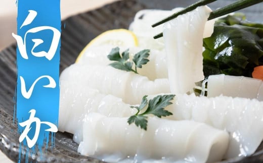 【新鮮朝どれ特産品】海士町が誇る高級白いかの開き200g（50g×4袋） 白いか いか イカ 刺身 海鮮 生食用 簡単 お手軽