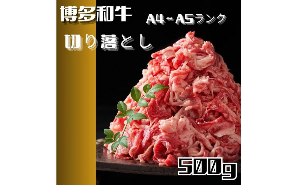 
            【定期便2回】博多和牛A4ランク以上切り落とし　訳あり!　500g
          