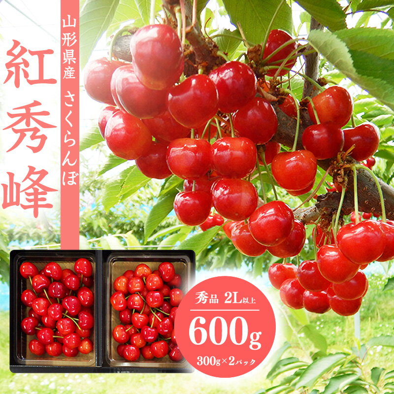 【ふるさと納税】《先行予約》さくらんぼ 「紅秀峰」2Lサイズ以上 秀品 600g（300g×2） 化粧箱 【2026年6月中旬頃〜7月上旬頃発送予定】※配送不可 沖縄・離島／ 2026年産 令和8年産 山形県産 フルーツ 果物 果実 くだもの サクランボ 特産 東北 山形 ふるさと納税 紅秀峰