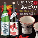 【ふるさと納税】≪新酒≫ 初孫「純米大吟醸 しぼりたて」 清泉川「純米吟醸 あらばしり」 1800ml×2本 しぼりたて・あらばしり出羽燦々1800mlセット 冷蔵便 ※離島発送・着日指定不可 酒 お酒 日本酒 セット 詰合せ 山形県 酒田市