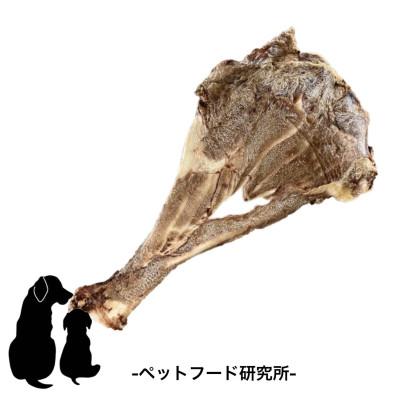 ふるさと納税 泉南市 ペットフード研究所　国産無添加 猪肩甲骨 大きさランダム8枚セット