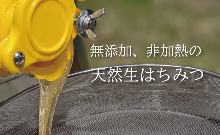 はちみつ 国産蜂蜜 ピタッとボトル 1本 はちみつ
