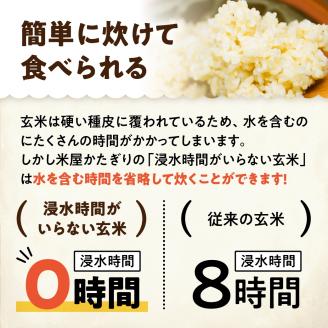 浸水時間がいらない玄米2kg 「米屋のこだわり阿賀野市産」 1E11007