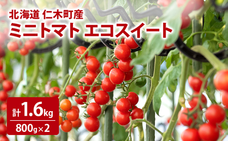 北海道 仁木町産 ミニトマト エコスイート 1.6kg [林果樹園]【トマト ミニトマト エコスイート 高糖度 フルーツトマト 赤 サラダ パスタ スープ 常備菜 産地直送 旬 健康 リコピン ビタミンC 美容】