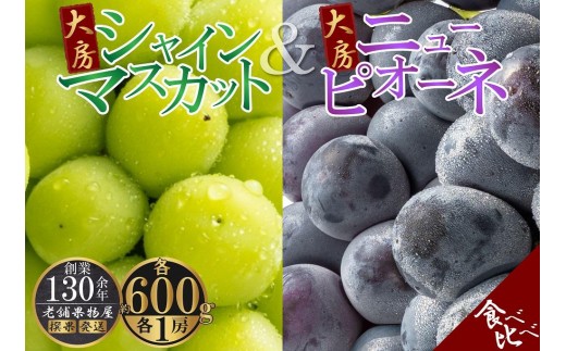 
                  大房シャインマスカット＆大房ニューピオーネ　各1房（各約600g）
                
