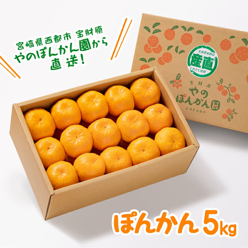 【ふるさと納税】宝財原ポンカン5kg　宮崎県西都市産 やのぽんかん 化粧箱