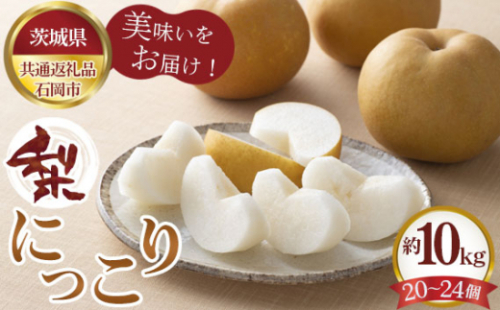 No.306 【先行予約】梨　にっこり　約10kg（20～24個）【茨城県共通返礼品 石岡市】 ／ 旬 新鮮 なし ナシ 果物 フルーツ 茨城県 特産品